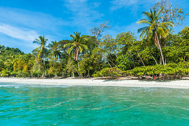 istock Manuel Antonio, Costa Rica - beautiful tropical beach 597276954