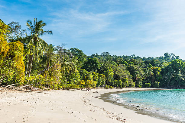 istock Manuel Antonio, Costa Rica - beautiful tropical beach 597628682