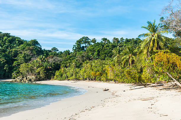 istock Manuel Antonio, Costa Rica - beautiful tropical beach 597631766