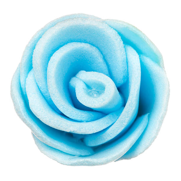 istock flower head isolated, beautiful decoration,top view 597632218