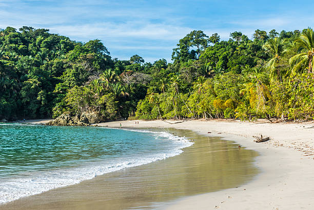 Manuel Antonio, Costa Rica - beautiful tropical beach Manuel Antonio, National Park in Costa Rica - beautiful tropical beach at pacific coast manuel antonio national park stock pictures, royalty-free photos & images