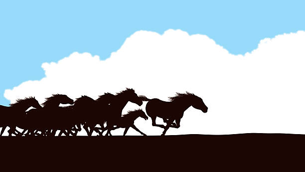 Horse Stampede Background Horse Stampede Background silhouette illustration. Check out my "Farming" light box for more. stampeding stock illustrations