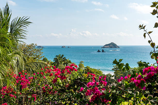 Manuel Antonio, Costa Rica - tropical pacific coast Manuel Antonio, Costa Rica - National Park at tropical pacific coast manuel antonio national park stock pictures, royalty-free photos & images