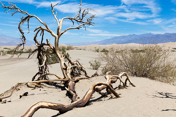 istock Death Valley National Park, California, USA 597637206