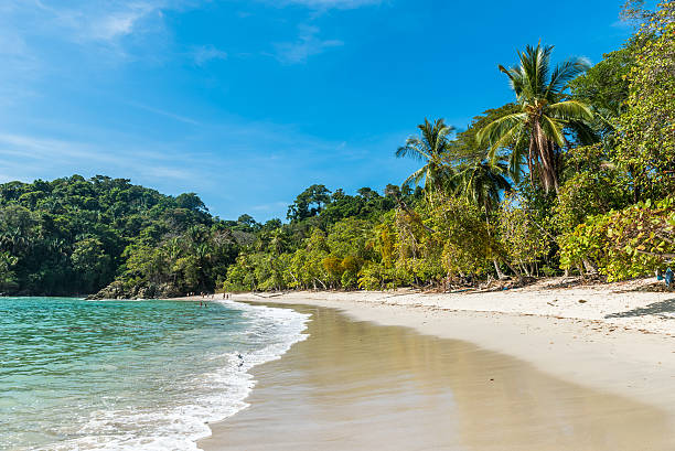 istock Manuel Antonio, Costa Rica - beautiful tropical beach 597639106