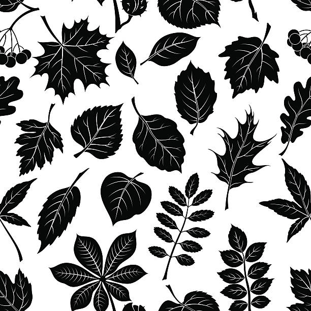 листья растений пиктограмма, бесшовные - hawthorn square shape square leaf stock illustrations