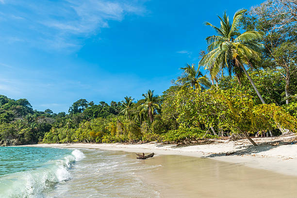 istock Manuel Antonio, Costa Rica - beautiful tropical beach 597640256