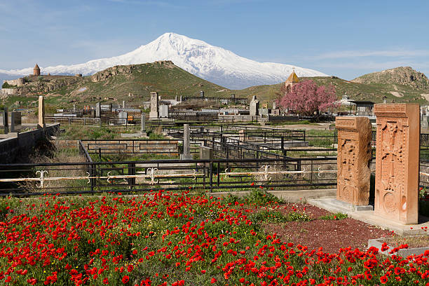 アルメニアの赤いポピーとアララト山 - armenian culture armenia saint monastery ストックフォトと画像