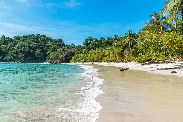 istock Manuel Antonio, Costa Rica - beautiful tropical beach 597640650