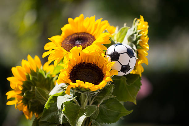 istock Sunflower boquet with footbal inside 597640964