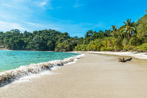 Manuel Antonio, Costa Rica - beautiful tropical beach Manuel Antonio, National Park in Costa Rica - beautiful tropical beach at pacific coast manuel antonio national park stock pictures, royalty-free photos & images