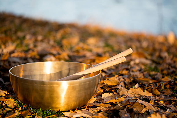 istock Singing Bowl in the fall - on the lake 597641788