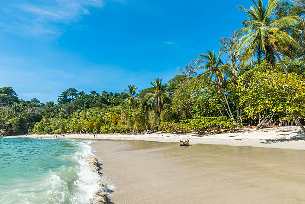 istock Manuel Antonio, Costa Rica - beautiful tropical beach 597641956