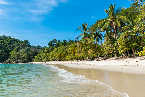 Manuel Antonio, National Park in Costa Rica - beautiful tropical beach at pacific coast
