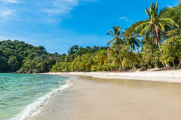 istock Manuel Antonio, Costa Rica - beautiful tropical beach 597643842