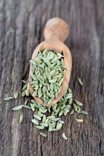 fennel seed in a wooden scoop on table