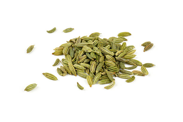 sementes de funcho isolado num fundo branco - ingredient fennel food dry imagens e fotografias de stock