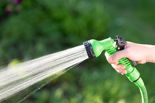 istock Gardening and watering plants 597646106
