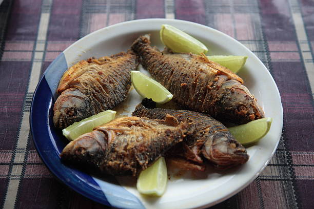 sea bream fish and salad