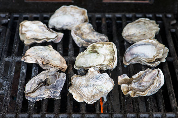 istock Oysters on cast iron barbecue grill. 597647200
