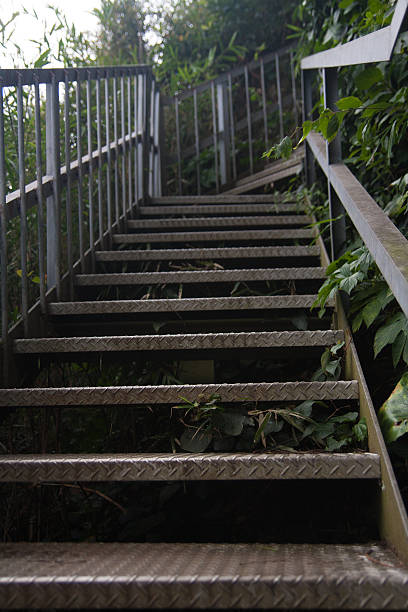 istock Rusty stairs followed from the forest to the coast 597647582