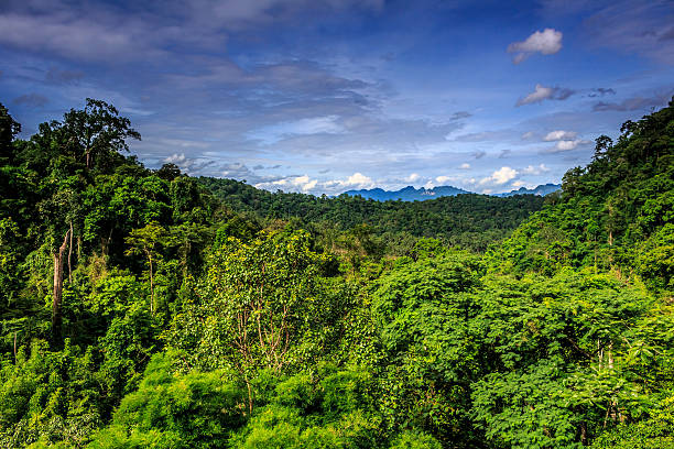 istock Wat Tham Pha Plong Viewpoint - Chiang Dao, Thailand 597648584