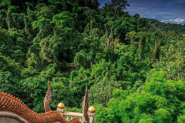istock Wat Tham Pha Plong Viewpoint - Chiang Dao, Thailand 597648774