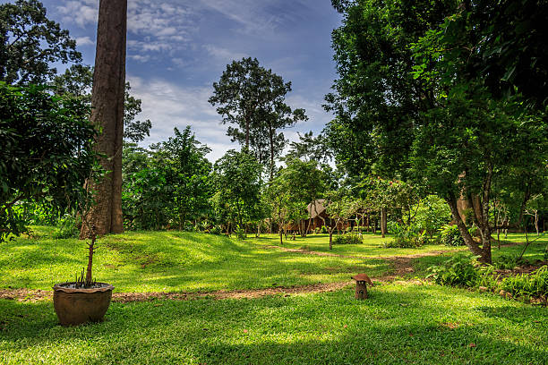 istock The Nest Garden - Chiang Dao, Thailand 597649928