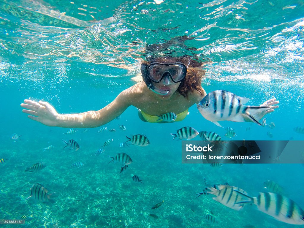 Young woman snorkeling Young woman snorkeling with the fishes in sea of Malaysia Snorkeling Stock Photo