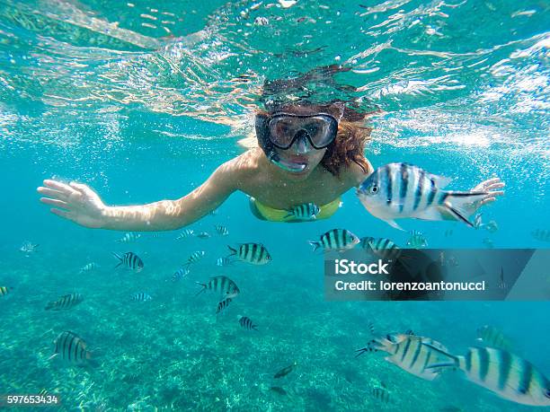 Young Woman Snorkeling Stock Photo - Download Image Now - Snorkeling, Snorkel, Fish