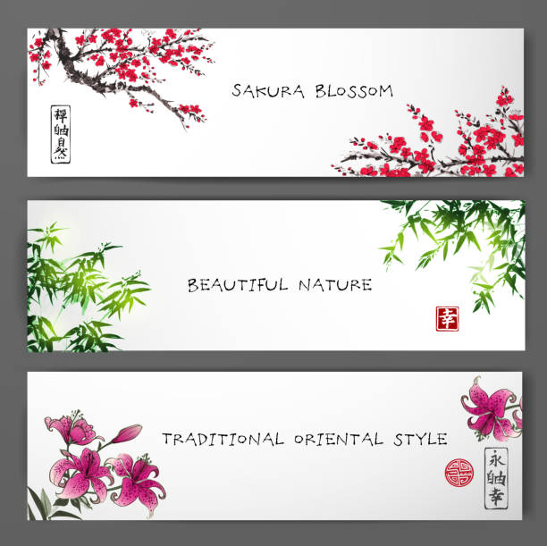 trzy banery z sakurą w kwiat, bambus i lilia. tradycyjny - bamboo watercolor painting isolated ink and brush stock illustrations