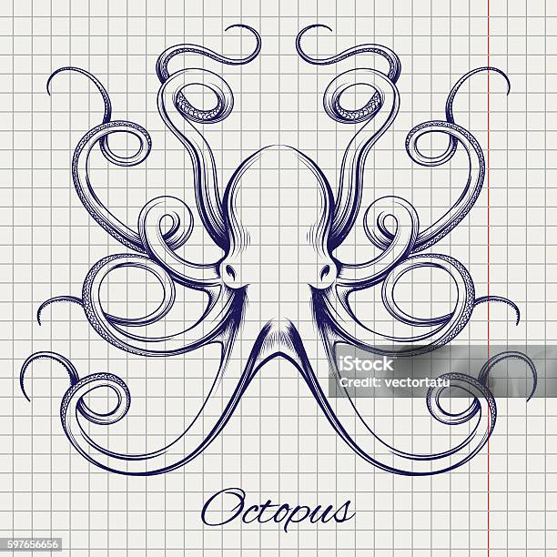 Hand Drawn Pen Sketch Octopus Stock Illustration - Download Image Now - Octopus, Old-fashioned, Retro Style