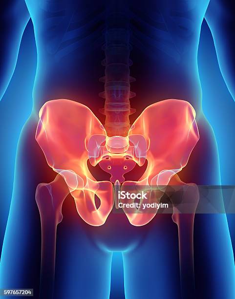 Hip Skeleton On Blue Background Stock Photo - Download Image Now - Hip - Body Part, Joint - Body Part, Pain