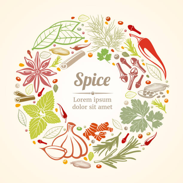ilustrações, clipart, desenhos animados e ícones de ícones de especiarias e ervas na composição do círculo - herb cooking garlic mint
