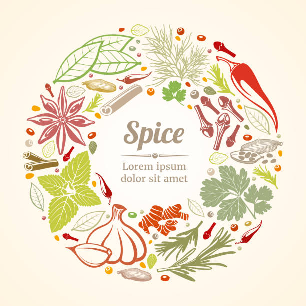 иконки специй и трав в составе круга - spice ginger cooking tasting stock illustrations