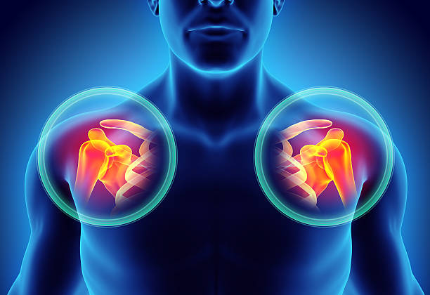 istock Shoulder painful skeleton x-ray, 3D illustration. 597658858