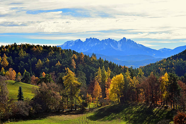 istock Latemar mountain in autumn 597659282