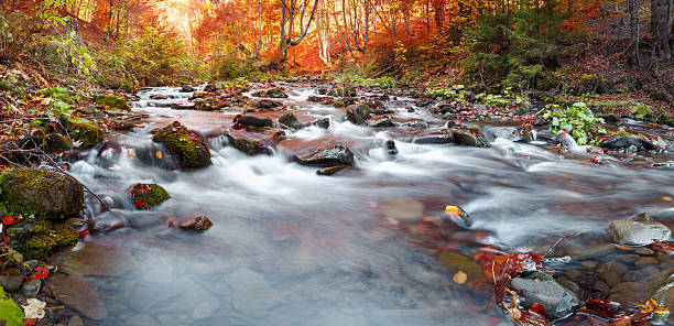 istock Autumn forest, mountain stream. Beautiful  , rocks covered with moss.  river 597660744