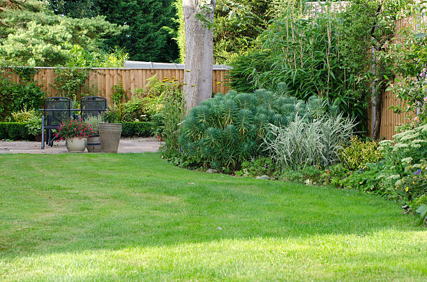 jardin avec patio, pelouse et parterres de fleurs. - brush fence photos et images de collection