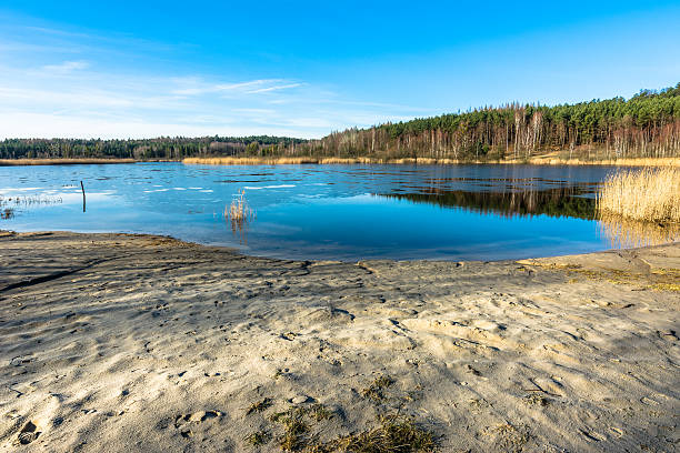 istock Wild lake landscape with sand beach in spring 597661378