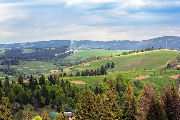 landscape consisting of a Carpathians mountains with fir-trees and green grassy valley and cloudy skies on the background