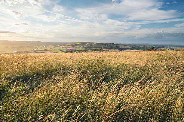 istock Beautiful peaceful sunset landscape image over English rolling c 597664930