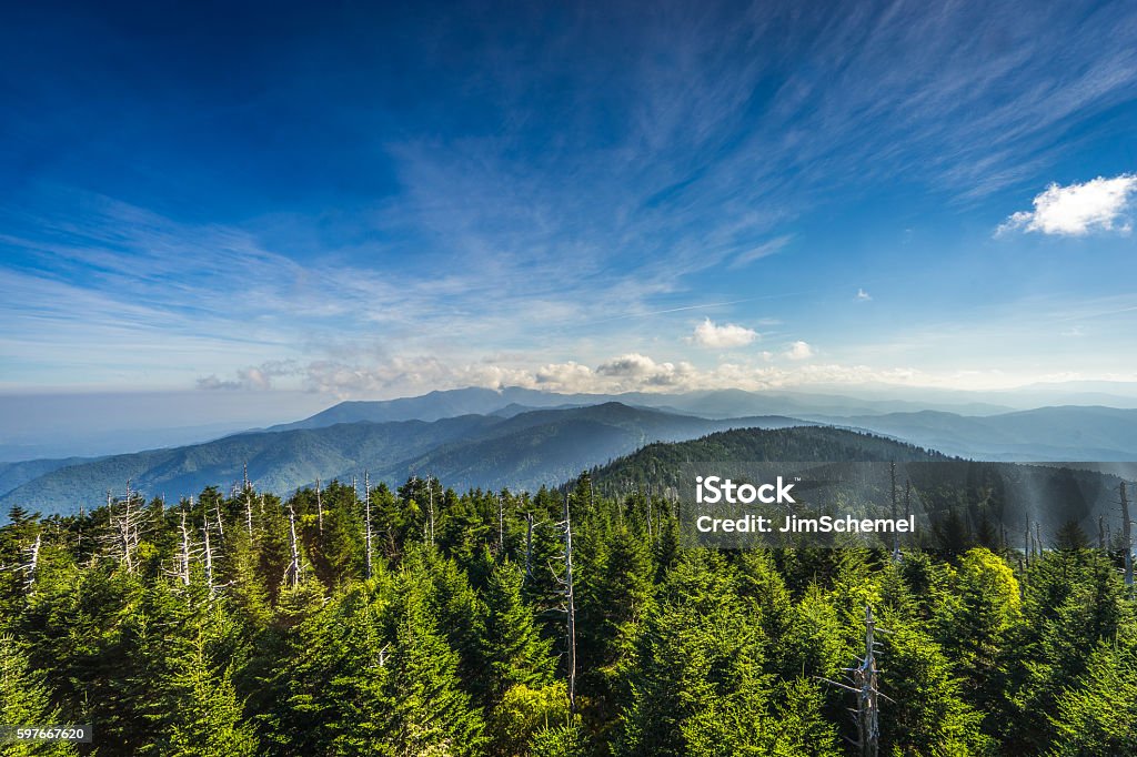 Smoky Mountains Detailed shot of part of the Smoky Mountains in Tennessee.  This shot was taken from top Clingman's Dome  Tennessee Stock Photo