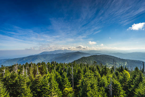 Smoky Mountains - foto de acervo