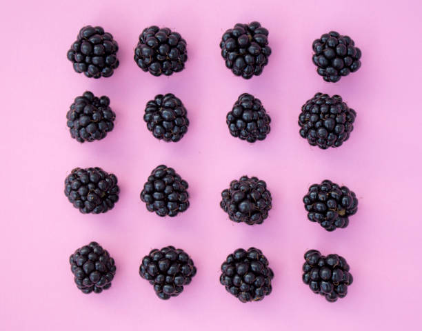 istock Blackberries in a row on Pink Background 597667650