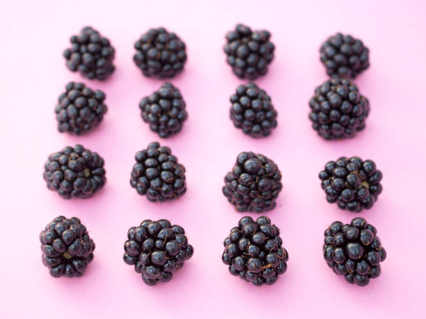 istock Blackberries in a row on Pink Background 597667756