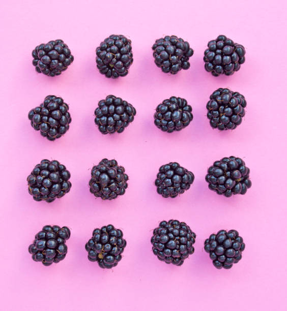 istock Blackberries in a row on Pink Background 597668028
