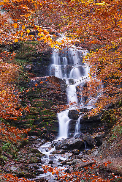 istock beautiful waterfall in forest, autumn landscape 597668404