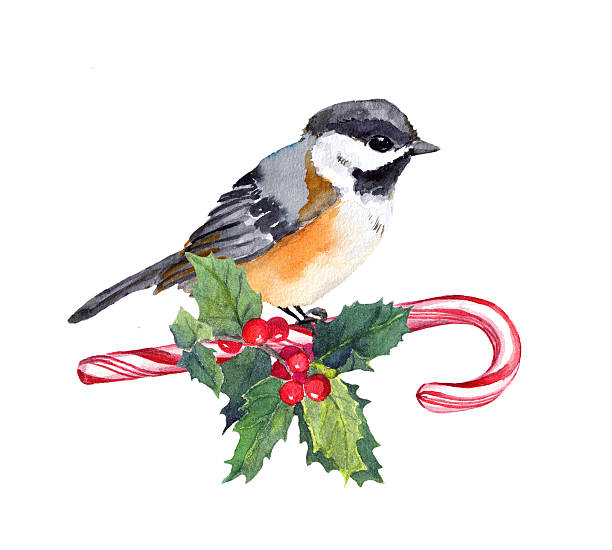 istock Christmas bird on candy cane with xmas mistletoe. Watercolor 597668406