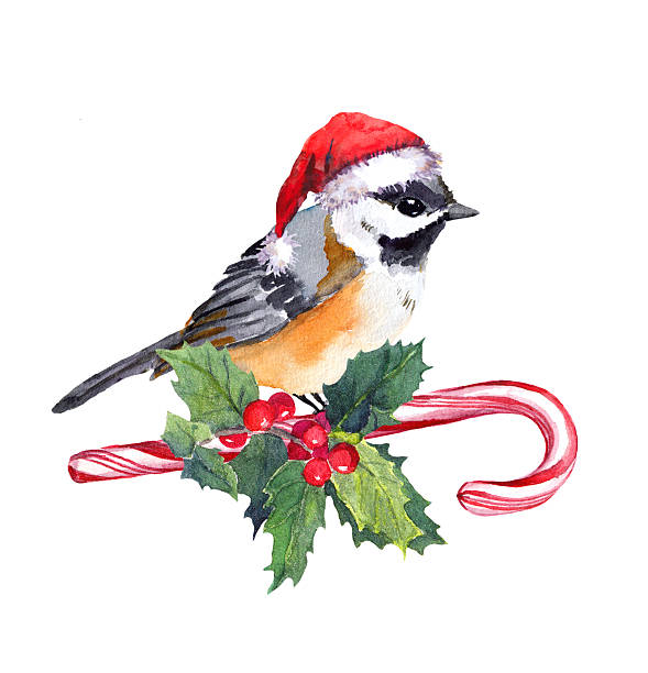 istock Christmas bird in hat on candy cane with mistletoe. Watercolor 597668570